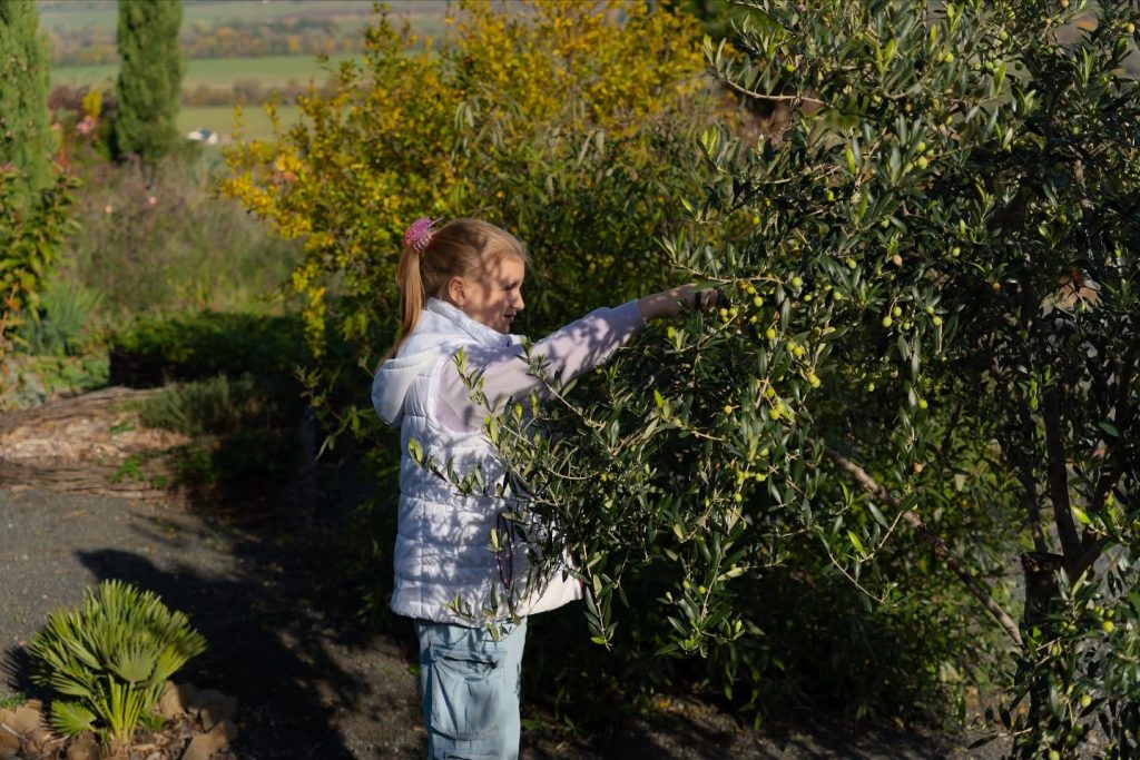 Instagram post from balatonibotanikuskert. This post is in position 7.