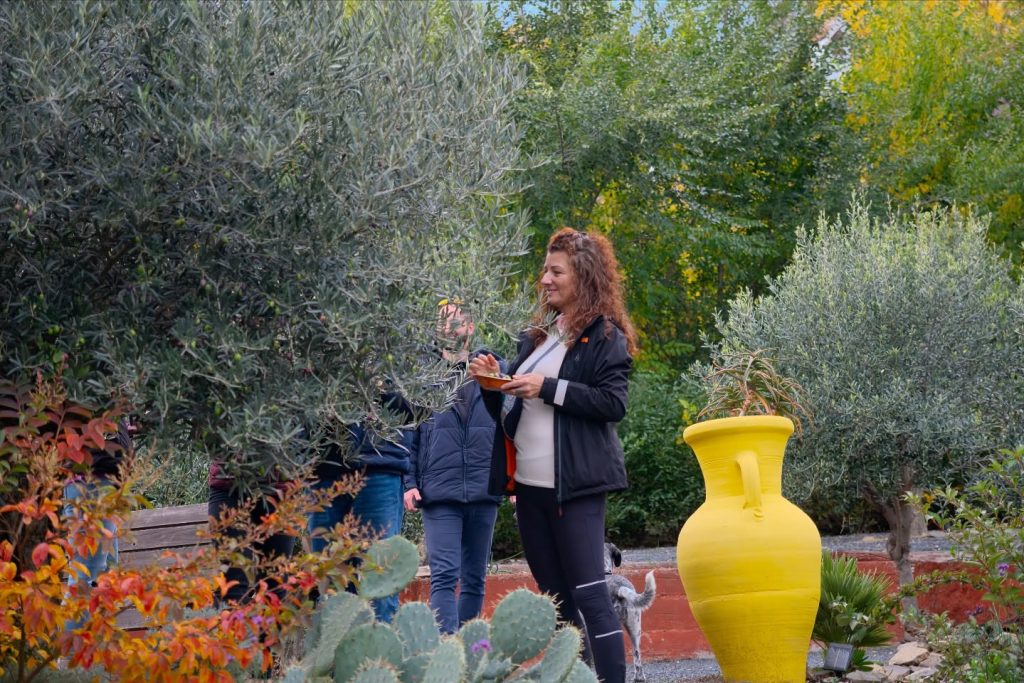 Instagram post from balatonibotanikuskert. This post is in position 2.