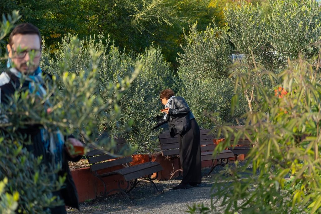 Instagram post from balatonibotanikuskert. This post is in position 10.