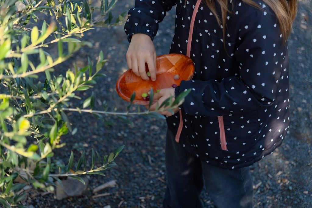 Instagram post from balatonibotanikuskert. This post is in position 9.