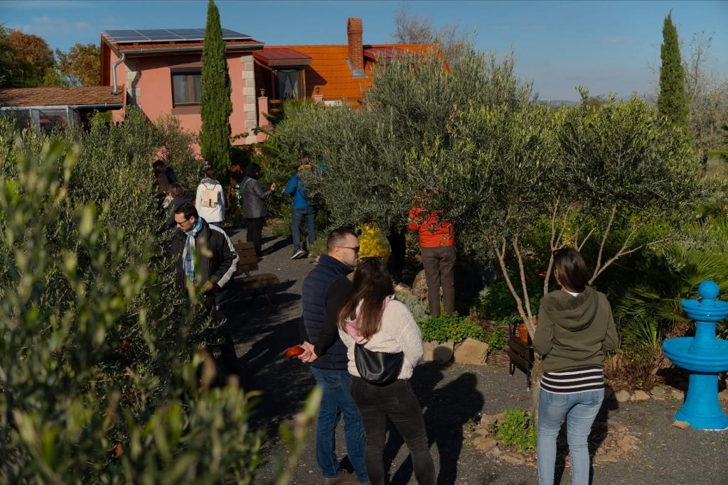 Instagram post from balatonibotanikuskert. This post is in position 1.