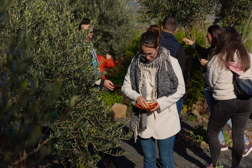 Instagram post from balatonibotanikuskert. This post is in position 6.