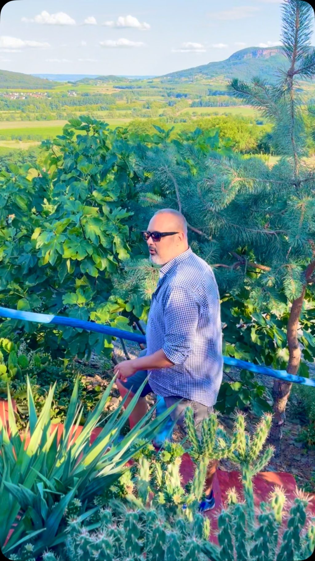 Instagram post from balatonibotanikuskert. This post is in position 5.