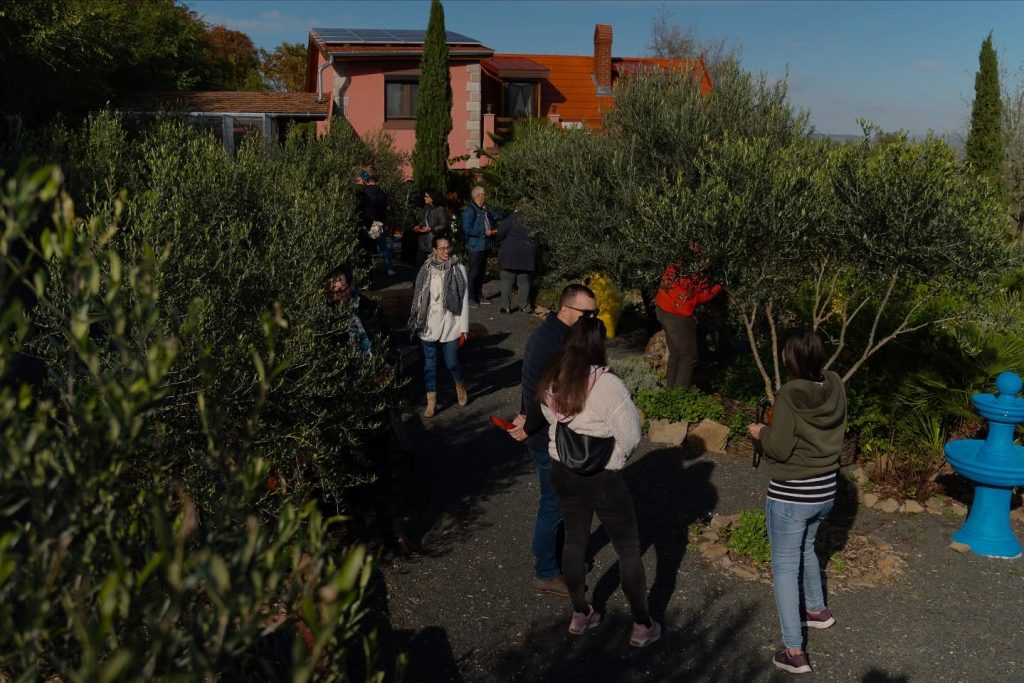 Instagram post from balatonibotanikuskert. This post is in position 8.