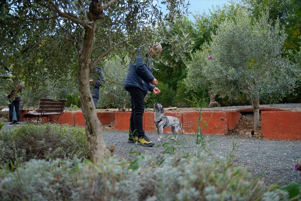 Instagram post from balatonibotanikuskert. This post is in position 4.