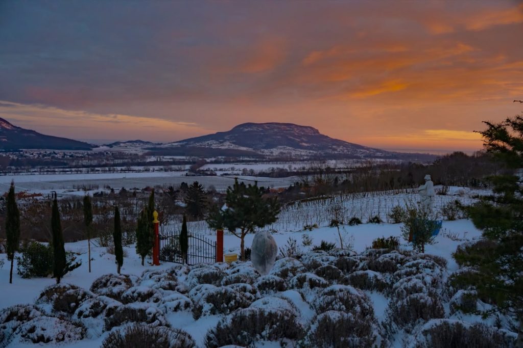 Instagram post from balatonibotanikuskert. This post is in position 0.