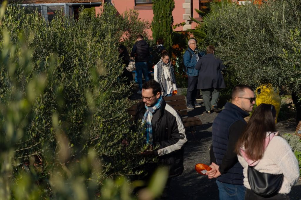 Instagram post from balatonibotanikuskert. This post is in position 5.